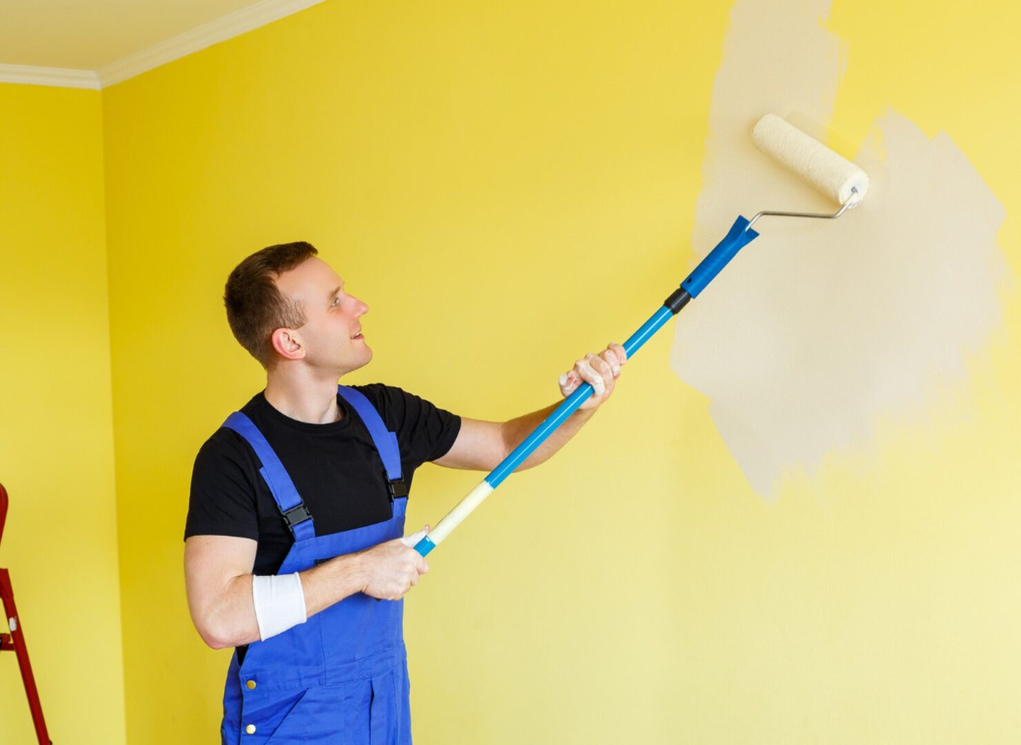 How to Select the Right Interior Paint for Walls
